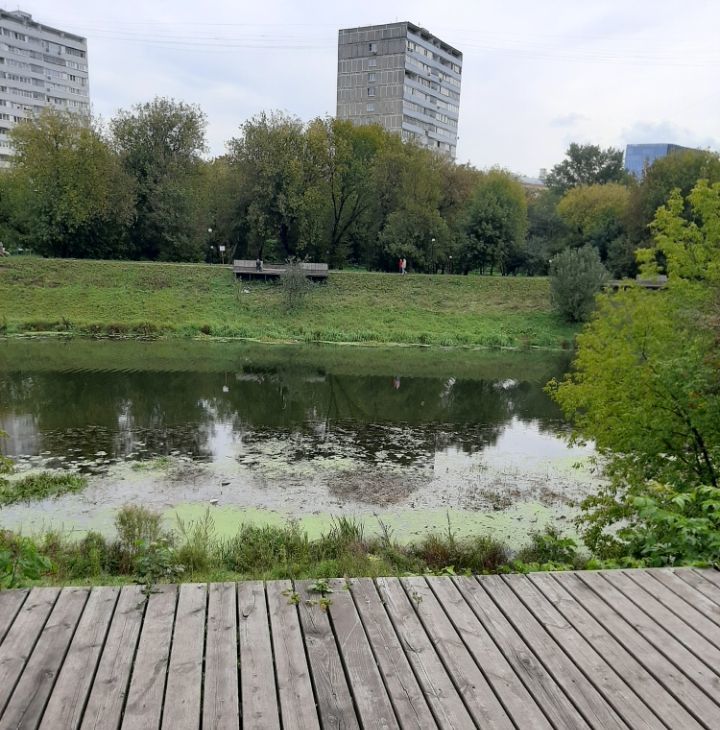 Сдам 1к квартиру на проезд Стратонавтов, 14К1, метро Спартак, г. Москва