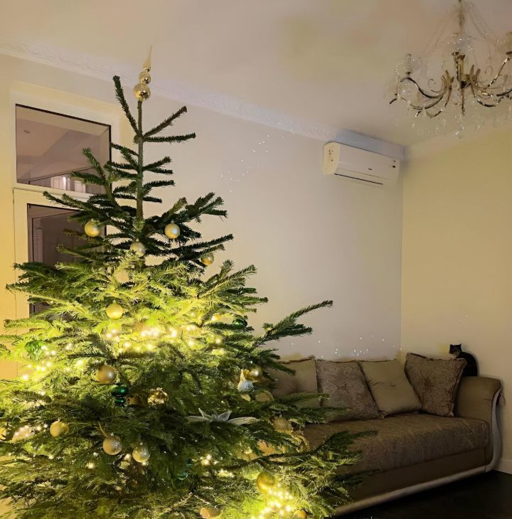 Аренда 2-к квартиры на 3-я Гражданская улица, 3А, метро Бульвар Рокоссовского, г. Москва