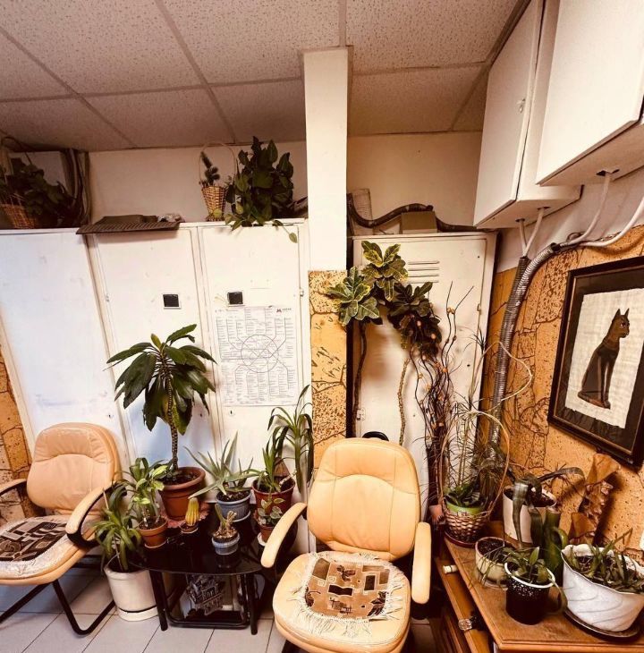 Сдам 3-к квартиру на Большая Грузинская улица, 14, метро Краснопресненская, г. Москва