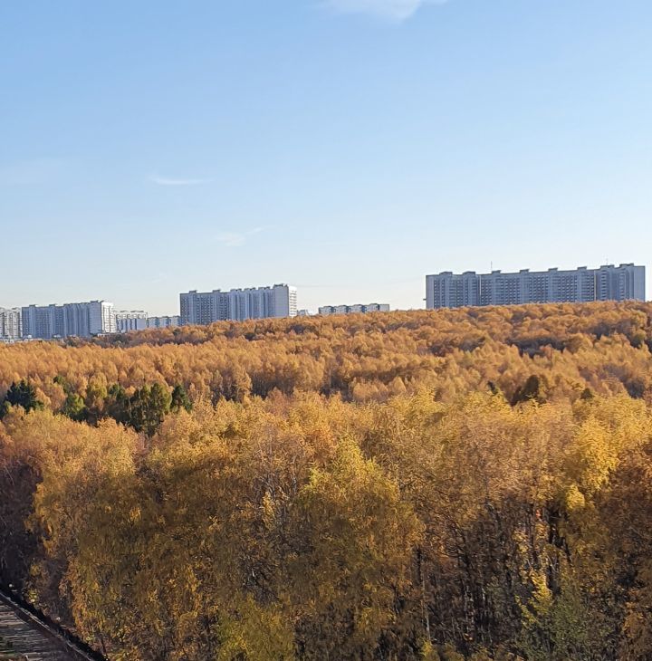 Снять 1-комнатную квартиру на улица Академика Капицы, 26К1, метро Беляево, г. Москва