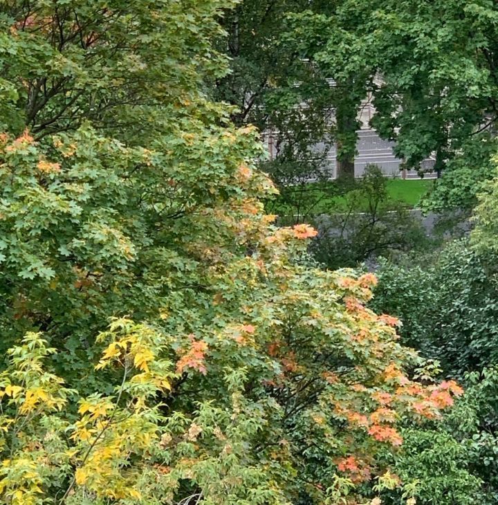 Снять 2-к квартиру на 2-я Фрунзенская улица, 7, метро Спортивная, г. Москва