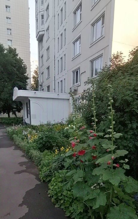 Сдаю 1к квартиру на улица Дыбенко, 10К1, метро Беломорская, г. Москва