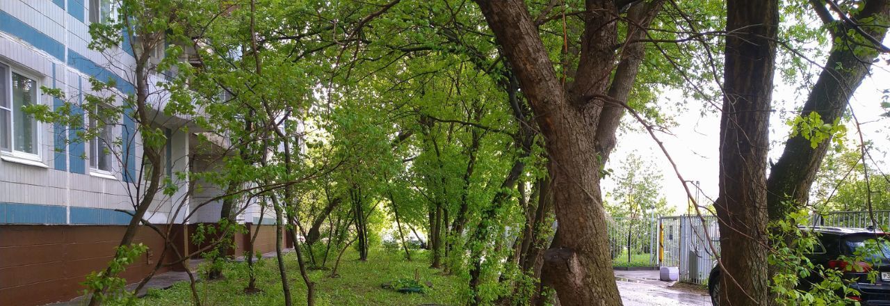 Сдаю 1-комнатную квартиру на улица Раменки, 18, метро Мичуринский проспект, г. Москва