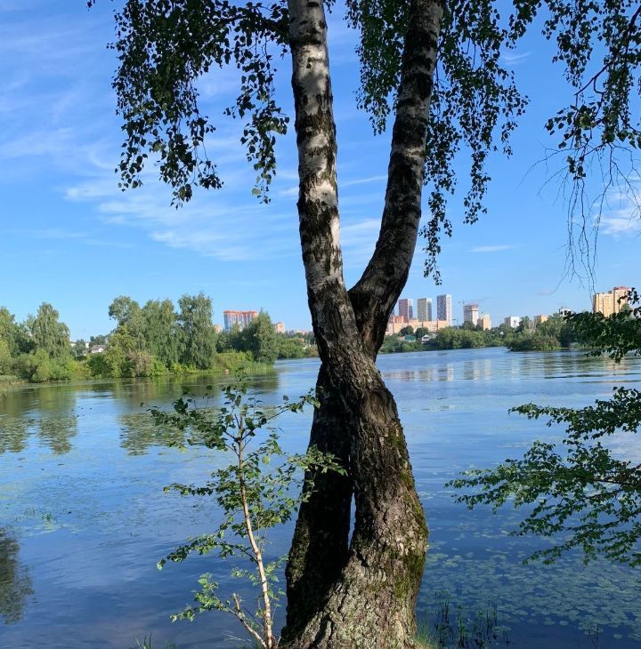 Аренда 2х-комнатной квартиры на 1к2, метро Строгино, г. Москва