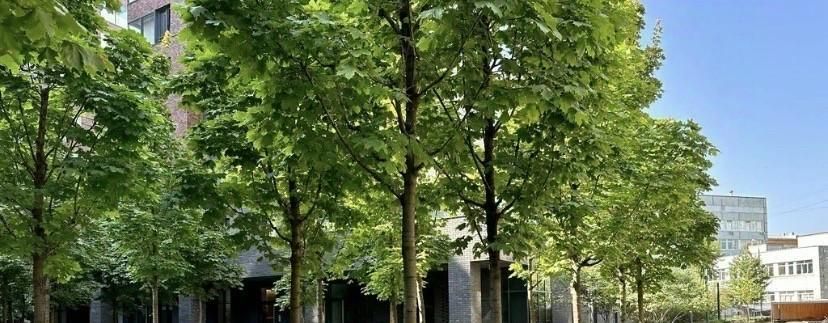 Снять 2х-комнатную квартиру на улица Вавилова, 4, метро Площадь Гагарина, г. Москва