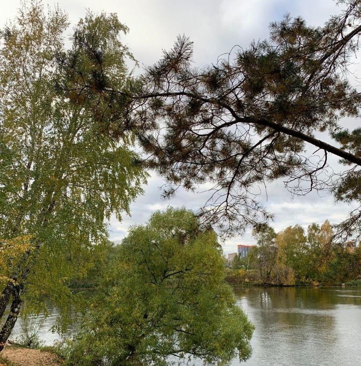 Сдаю 2к квартиру на 1к2, метро Строгино, г. Москва