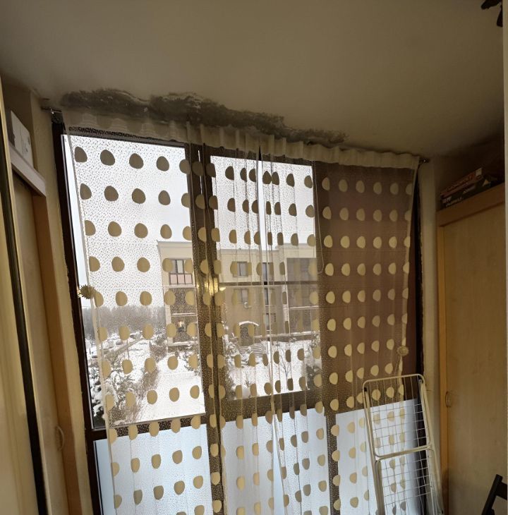 Сдается 1-к квартира на улица Облепиховая, 11, метро Ольховая, г. Москва