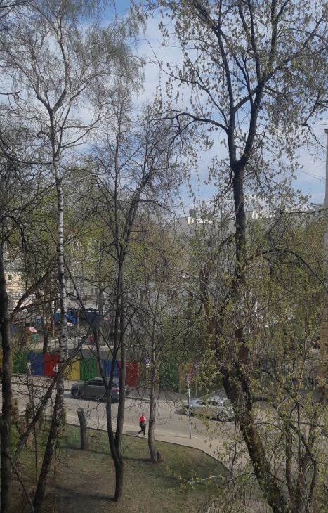 Сдаю 1-к квартиру на Зоологическая улица, 30, метро Тверская, г. Москва