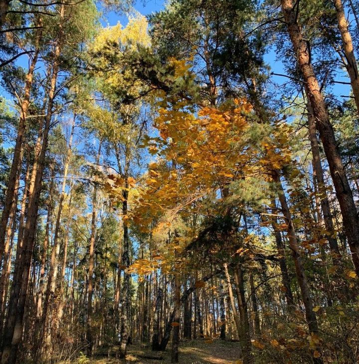 Сдам 2-комнатную квартиру на 1к2, метро Мякинино, г. Москва
