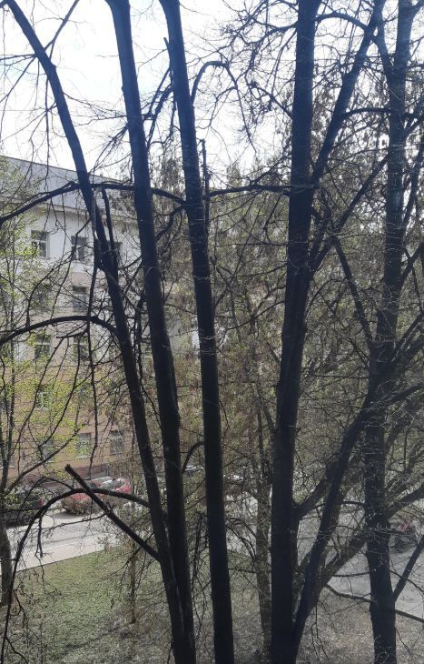 Сдам однокомнатную квартиру на Зоологическая улица, 30, метро Маяковская, г. Москва