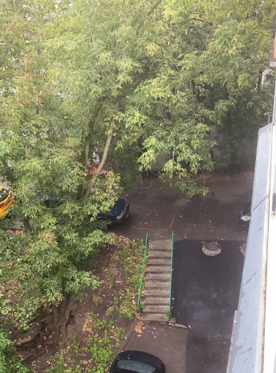 Сдается 3-комнатная квартира на Зоологический переулок, 4-6, метро Краснопресненская, г. Москва