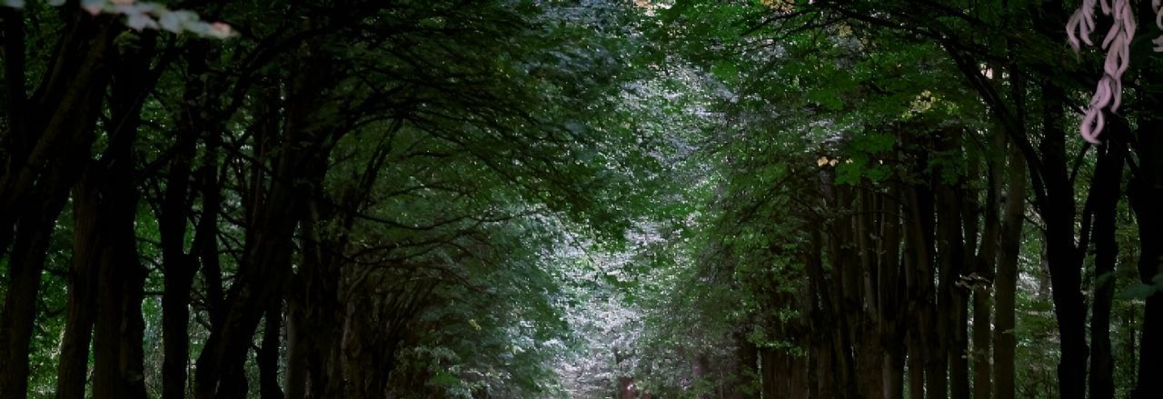 Сдам 1-к квартиру на Ягодная улица, 8к1, метро Пражская, г. Москва