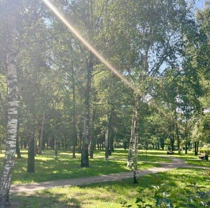 Аренда 3-комнатной квартиры на проезд Серебрякова, 11к1, метро Ботанический сад, г. Москва