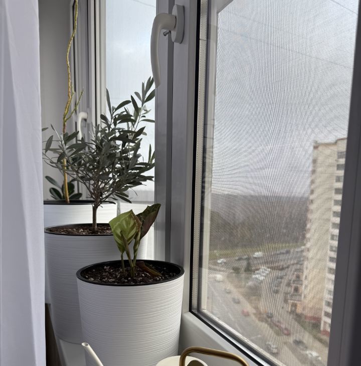 Сдается 1-комнатная квартира на Лебедянская улица, 32, метро Царицыно, г. Москва