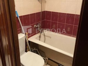 Квартира-студия: Новосибирск, улица Серафимовича, 15 (20 м²)