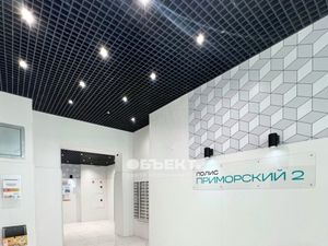 Студия Санкт-Петербург аллея Арцеуловская, 7к1 (23.0 м²)