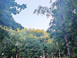 Студия Москва Гостиничная ул., 10К5 (19.0 м²)