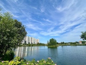2-комнатная квартира: Санкт-Петербург, Малая Бухарестская улица, 10к1 (62.9 м²)