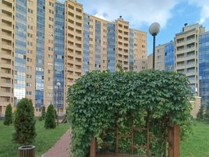 Студия Санкт-Петербург Заневский просп., 42 (25.6 м²)