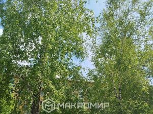 1-к кв. Новосибирская область, Новосибирск ул. Чапаева, 2 (30.4 м²)