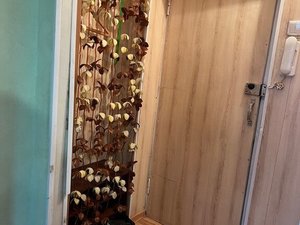 1-комнатная квартира: Новосибирск, Владимировский спуск, 9 (30 м²)