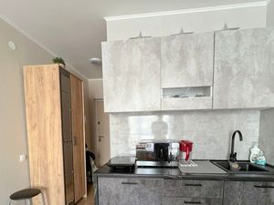 Студия Санкт-Петербург пос. Парголово, проезд Толубеевский, 8к2 (22.6 м²)
