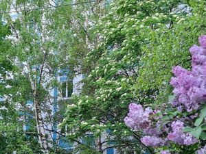 3-к кв. Москва Бирюлевская ул., 45К1 (75.0 м²)