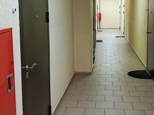1-комнатная квартира: Санкт-Петербург, Невский район, муниципальный округ № 54 (41 м²)