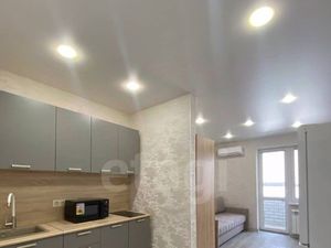 Студия Воронежская область, Воронеж просп. Патриотов, 3Е (23.6 м²)