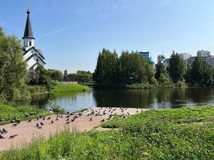 1-комнатная квартира: Санкт-Петербург, Дунайский проспект, 14к1 (34.5 м²)