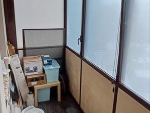 Квартира-студия: посёлок Шушары, Вишерская улица, 2 (28.6 м²)