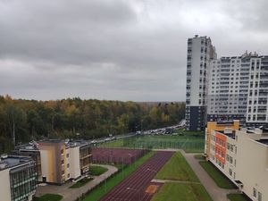 1-к кв. Санкт-Петербург ул. Пейзажная, 24к2 (31.0 м²)
