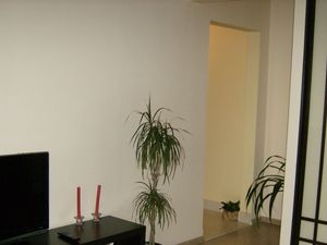 1 комнатная квартира Цюрупы