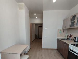 1-к кв. Новосибирская область, Новосибирск ул. Виктора Шевелева, 20 (42.0 м²)