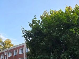 Студия Москва ул. Короленко, 5А (15.5 м²)
