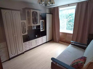1-комнатная квартира: Санкт-Петербург, проспект Энгельса, 96 (30 м²)