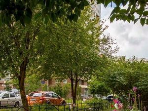 Студия Санкт-Петербург Ленинский просп., 80к1 (34.0 м²)