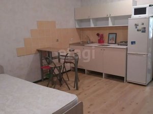 Квартира-студия: Новосибирск, Ленинский район, микрорайон Горский, 82 (33 м²)