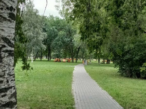 1-комнатная квартира: Санкт-Петербург, Среднерогатская улица, 9 (40.3 м²)