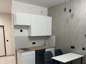 Студия Москва Бартеневская ул., 18к2 (24.0 м²)