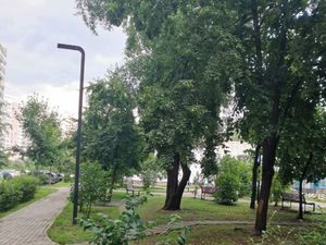 Комната Москва Новочеркасский бул., 46 (28.0 м²)