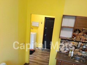 1-к кв. Санкт-Петербург ул. Русановская, 11 (33.0 м²)