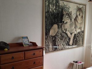 Комната Санкт-Петербург ул. Маршала Казакова, 68к1 (15.0 м²)