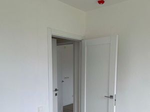 1-к кв. Санкт-Петербург ул. Пахомовская, 18к2 (29.2 м²)