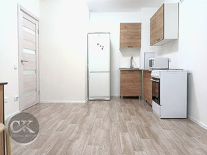 1-комнатная квартира: Санкт-Петербург, Муринская дорога, 25к3 (32.7 м²)