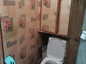 3-комнатная квартира: Санкт-Петербург, улица Передовиков, 25 (65.4 м²)