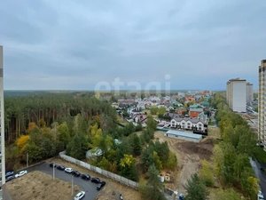 1-комнатная квартира: Воронеж, Московский проспект, 142/2 (43 м²)