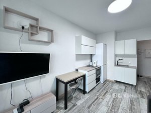 1-комнатная квартира: Санкт-Петербург, Московский проспект, 73к5 (32 м²)