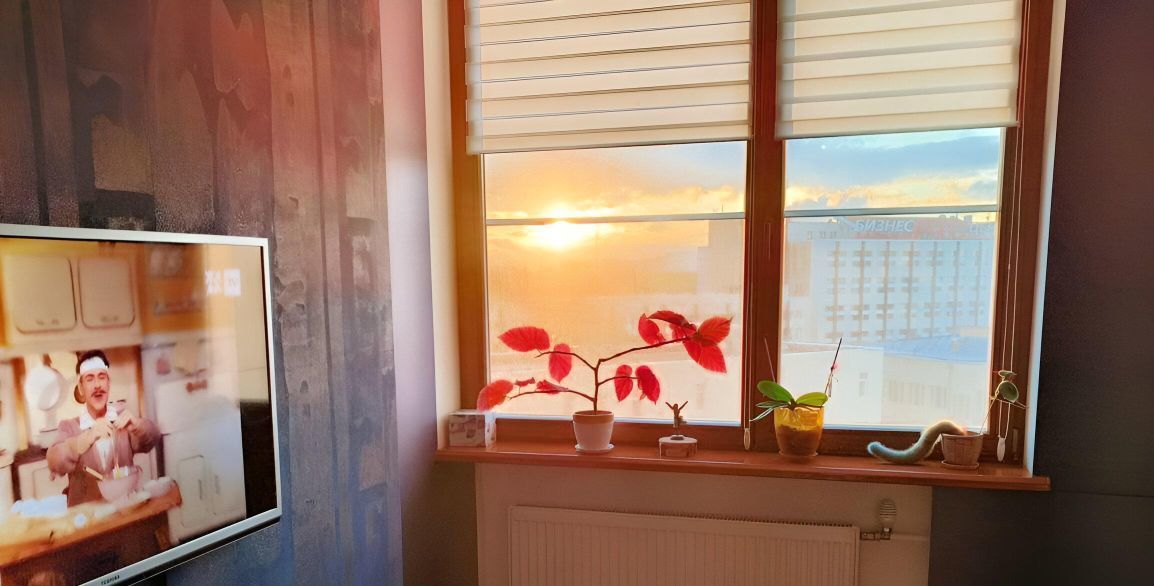 Сдается 3-к квартира на Мироновская улица, 25, метро Измайлово, г. Москва