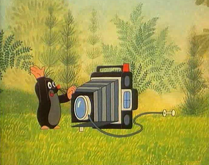 Локалс - аренда жилой недвижимости в Москве